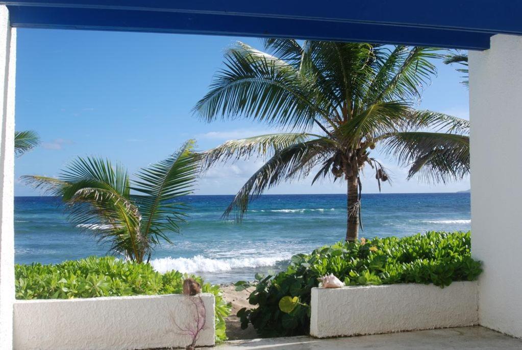 Welcome To Sea Breezes 2 Bedroom 2 Baths Ocean Views Christiansted Exterior photo